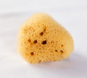 Esponjas naturales: una alternativa a los tampones convencionales
